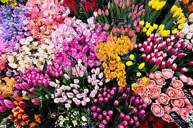 经营模拟游戏《宠物旅馆》将于今日登陆Steam平台